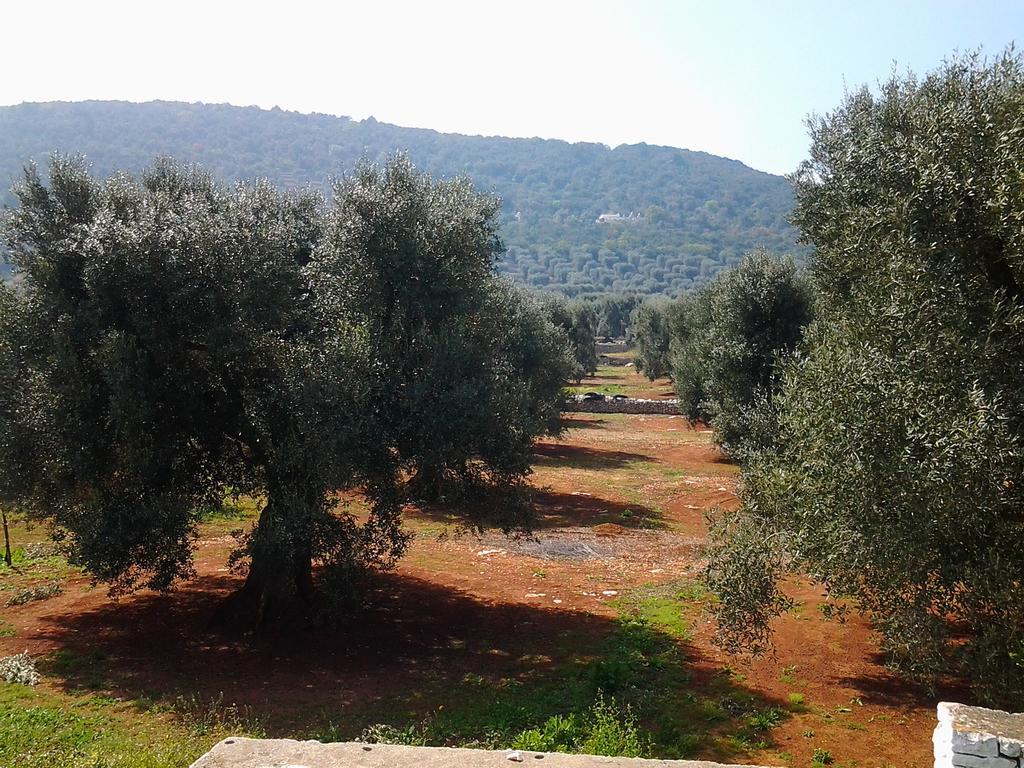 Ferienwohnung La Collina Degli Ulivi Fasano Exterior foto