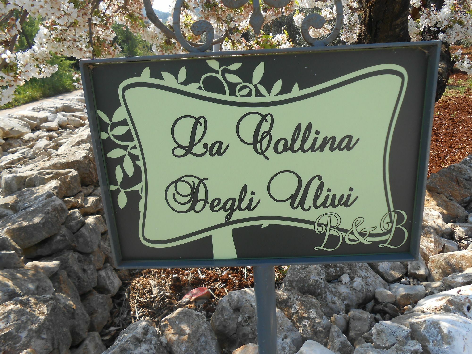 Ferienwohnung La Collina Degli Ulivi Fasano Exterior foto